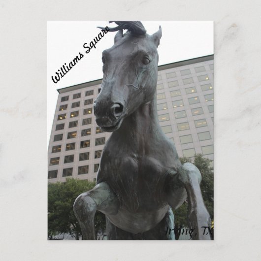 Mustangs von Las Colinas # 17 Postkarte (Vorderseite)