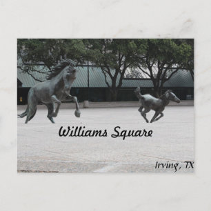 Mustangs von Las Colinas # 19 Postkarte