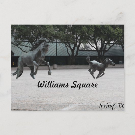 Mustangs von Las Colinas # 19 Postkarte (Vorderseite)