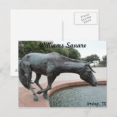 Mustangs von Las Colinas # 1 Postkarte (Vorne/Hinten)