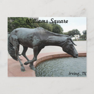 Mustangs von Las Colinas # 1 Postkarte