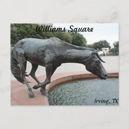 Mustangs von Las Colinas # 1 Postkarte (Vorderseite)