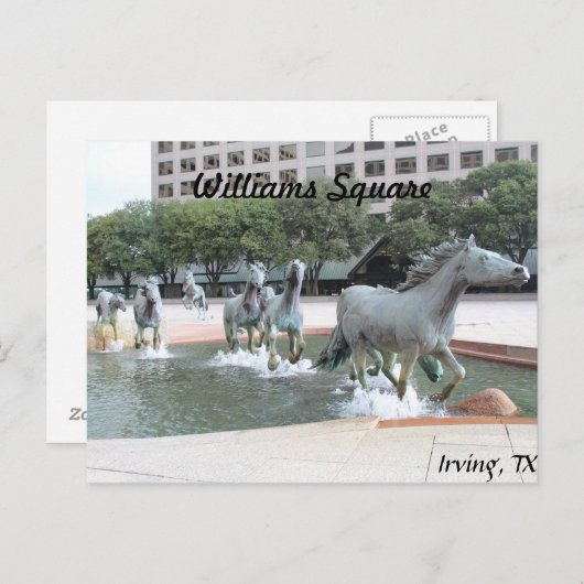 Mustangs von Las Colinas # 21 Postkarte (Vorne/Hinten)