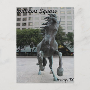 Mustangs von Las Colinas # 25 Postkarte