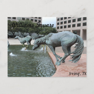 Mustangs von Las Colinas # 28 Postkarte