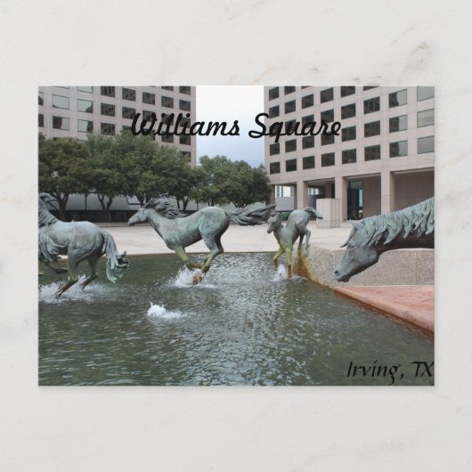Mustangs von Las Colinas # 3 Postkarte (Vorderseite)
