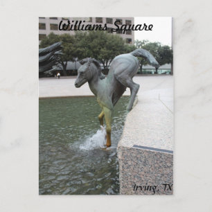 Mustangs von Las Colinas # 7 Postkarte