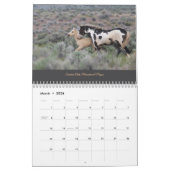 MustangWILD 2025 Kalender (Mär 2026)