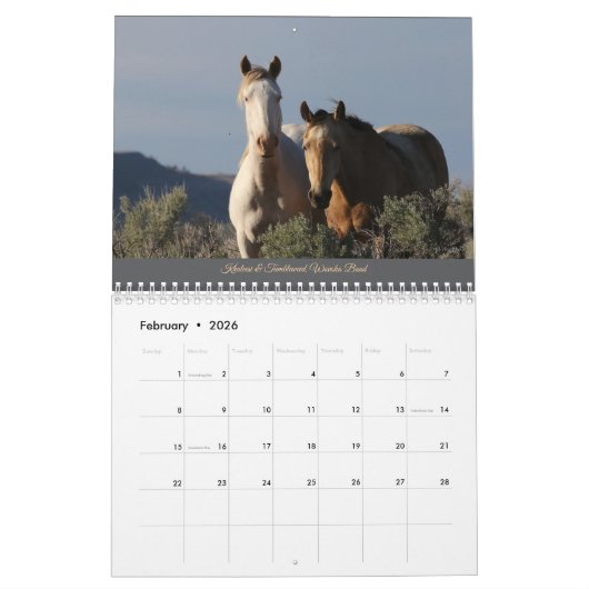 MustangWILD 2025 Kalender (Feb 2026)