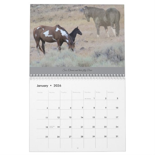MustangWILD 2025 Kalender (Jan 2026)