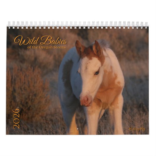 MustangWild 2026 "Wild Babies" Calendar Kalender (Titelbild)