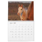 MustangWild 2026 "Wilde Babys" Kalender (Mär 2027)