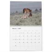 MustangWild 2026 "Wilde Babys" Kalender (Feb 2027)