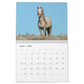 MustangWild's 12-monatiger Kalender 2022  (Mär 2027)