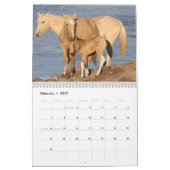 MustangWild's 12-monatiger Kalender 2022  (Feb 2027)