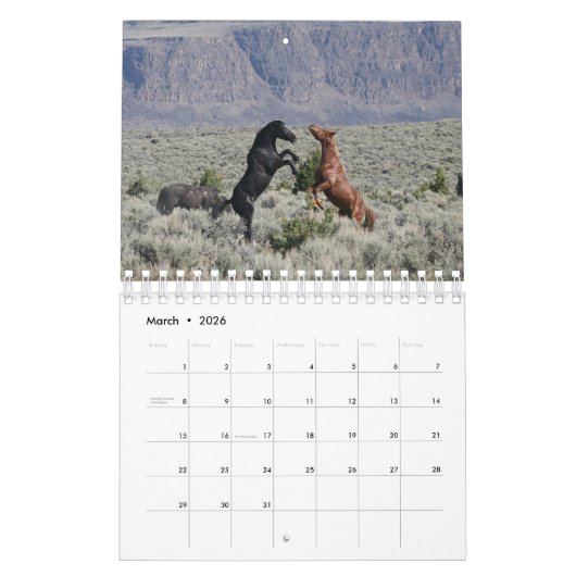 MustangWild's 2026 "Wild West" Calendar Kalender (Mär 2026)