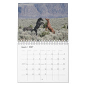 MustangWilds Kalender 2026 "Wilder Westen" (Mär 2027)
