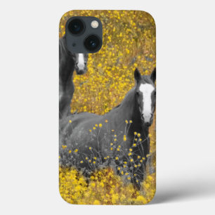 Mustard and Horses iPhone 13 Hülle