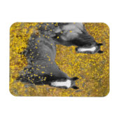 Mustard and Horses Magnet (Horizontal)