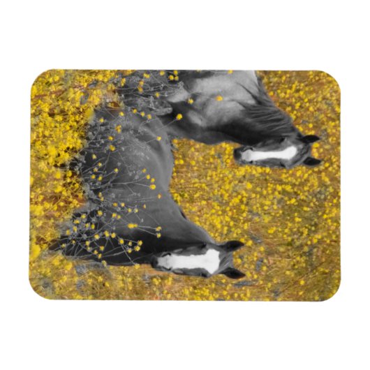 Mustard and Horses Magnet (Horizontal)