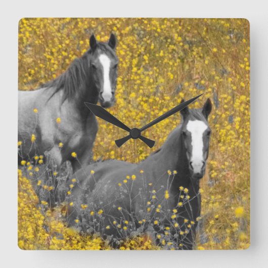 Mustard and Horses Quadratische Wanduhr (Vorderseite)