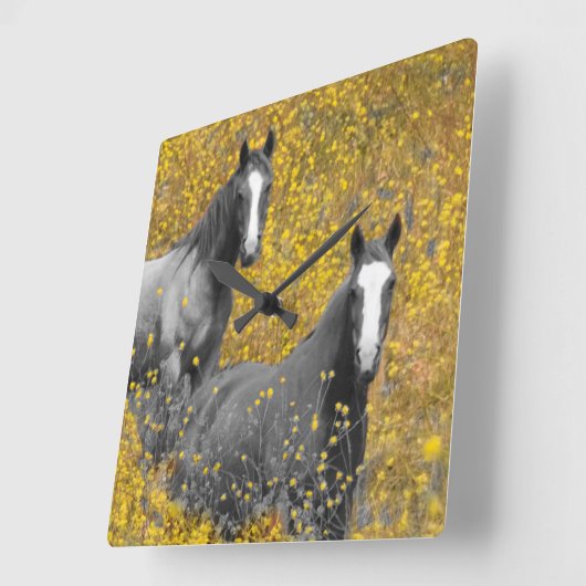 Mustard and Horses Quadratische Wanduhr (Winkel)
