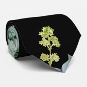 Muster 2 krawatte (Gerollt)