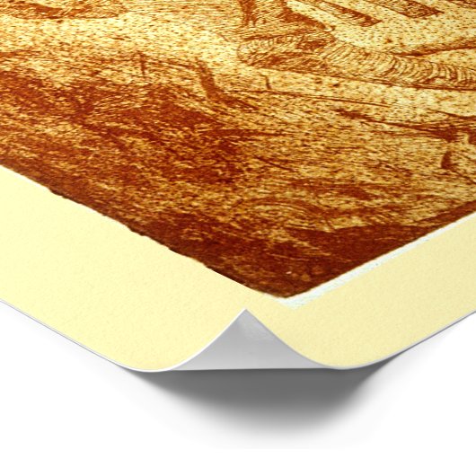 Muster #2: Sphinx Fossil Poster (Ecke)