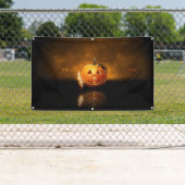 Muster 543 banner (Insitu)