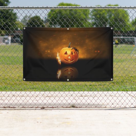 Muster 543 banner (Insitu)