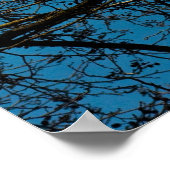 Muster am Himmel Poster (Ecke)