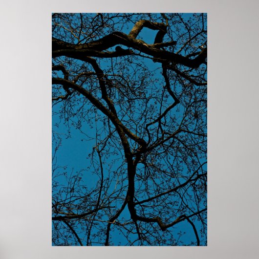 Muster am Himmel Poster (Vorne)