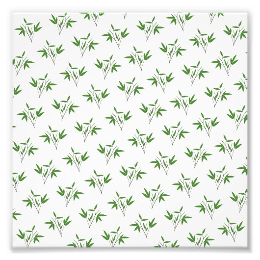 Muster aus Bambuszweigen Fotodruck (Vorne)