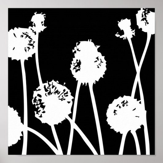 Muster aus der Natur 26 Poster (Vorne)