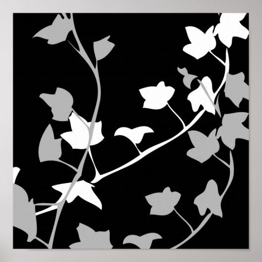 Muster aus der Natur 3 Poster (Vorne)