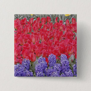 Muster aus Hyazinthen, Tulpen und Narzissen, Button