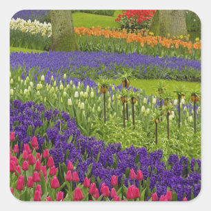 Muster aus Tulpen Hyazinthen und Traubenhyazinthen Quadratischer Aufkleber
