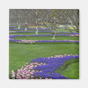 Muster aus Tulpen und Traubenhyazinthenblüten, 4 Magnet