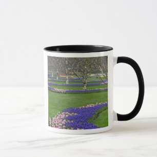Muster aus Tulpen und Traubenhyazinthenblüten, 4 Tasse