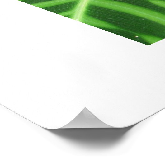 Muster der Blätter Poster (Ecke)