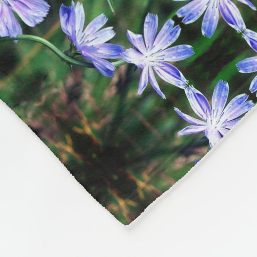 Muster der Blue Wild Chicory Blume Fleecedecke (Ecke)