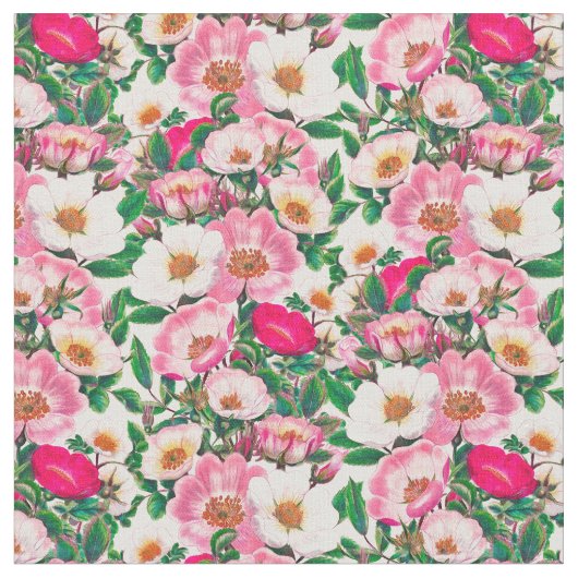 Muster der Blume Rosa und Weiße Wilde Rose Stoff (Nahaufnahme)