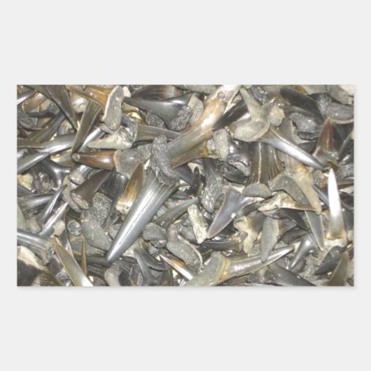 Muster der fossilen Haie Rechteckiger Aufkleber (Vorderseite)