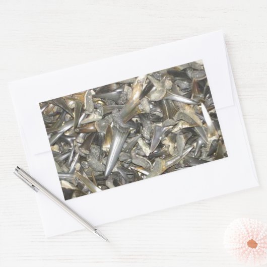 Muster der fossilen Haie Rechteckiger Aufkleber (Umschlag)