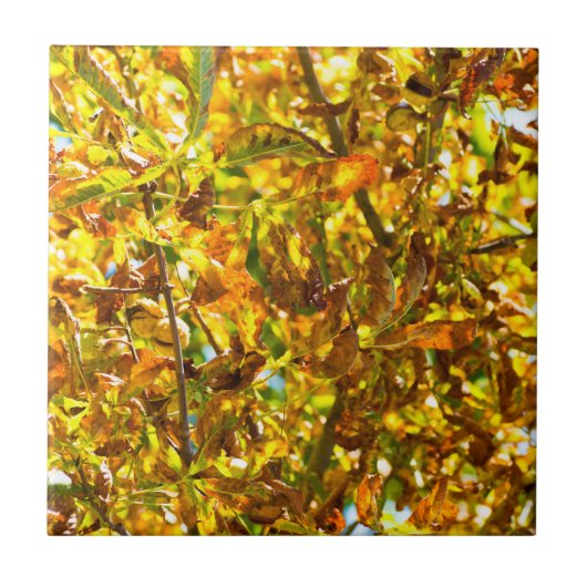 Muster der Herbstblätter Fliese (Vorderseite)