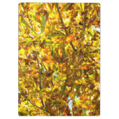 Muster der Herbstblätter Klemmbrett (Rückseite)