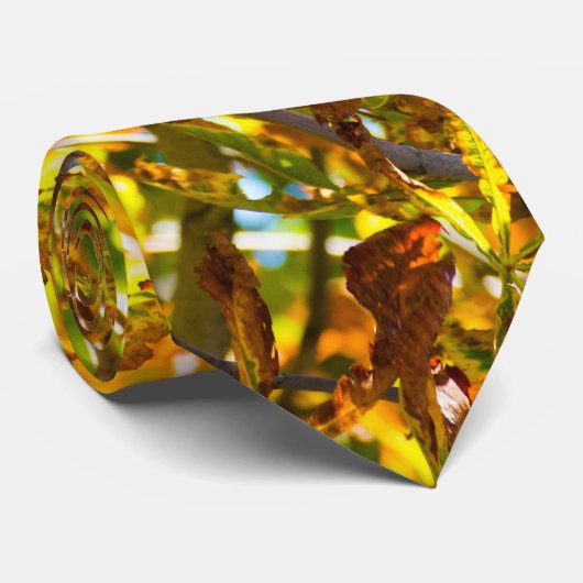 Muster der Herbstblätter Krawatte (Gerollt)
