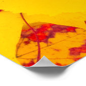 Muster der Herbstblätter Poster (Ecke)