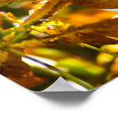 Muster der Herbstblätter Poster (Ecke)