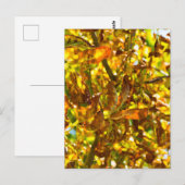 Muster der Herbstblätter Postkarte (Vorne/Hinten)